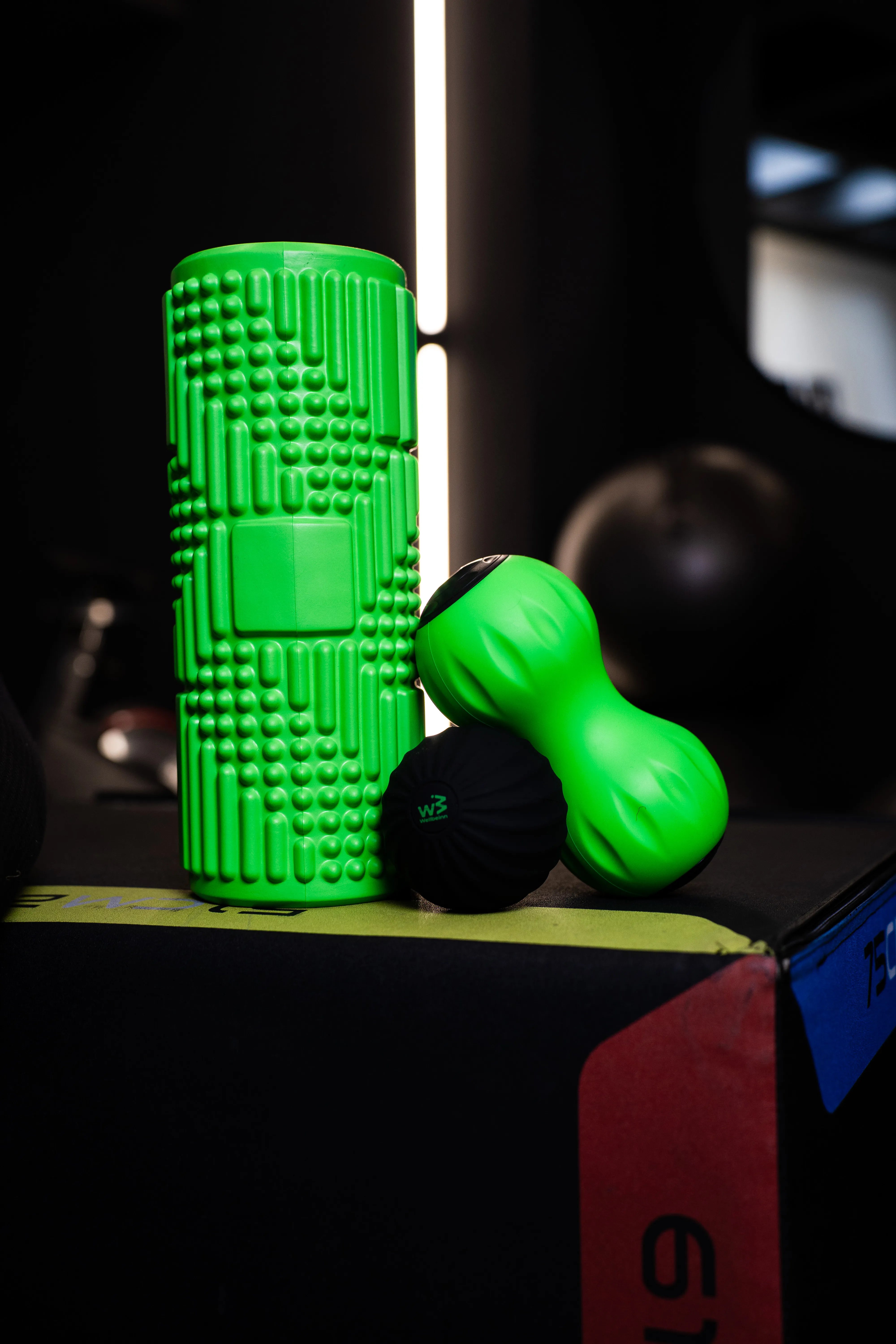 Pack Rollinn Recovery