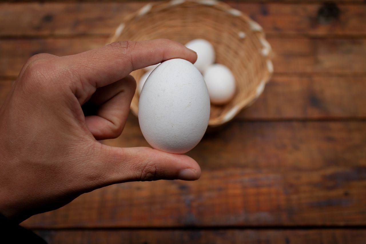 Cuánta proteína tiene un huevo (tabla por tamaño)