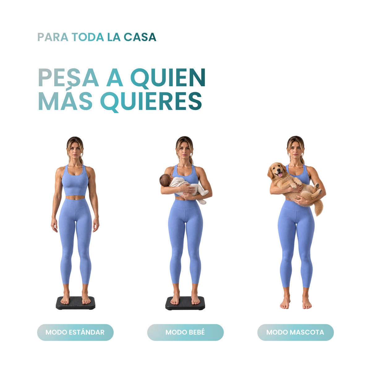 Modos estándar, bebé y mascota